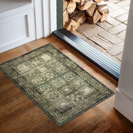 DECOMALL ALYTA Washable Door Mat, Vintage Non-Slip Small Rugs for Entrance Welcome Mat, Green/Brown 2’x3’