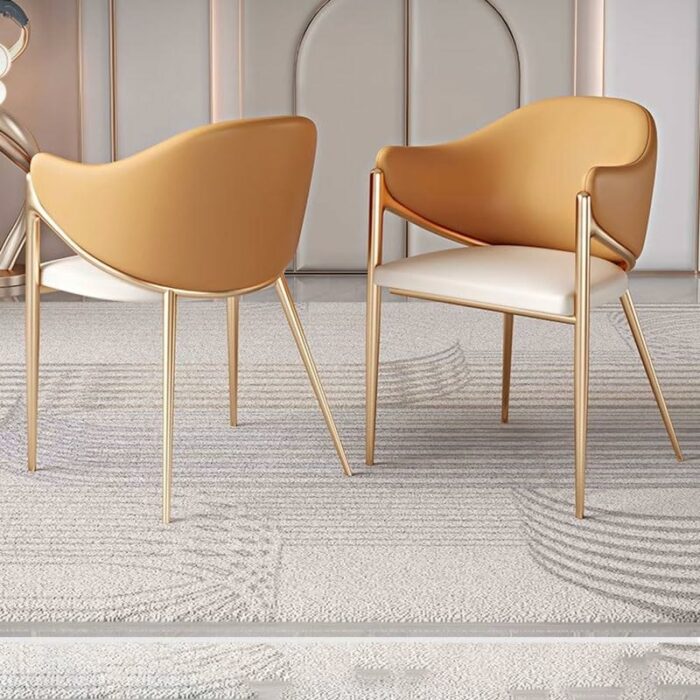LXXSH Comfortable Dinning Chair Designer Metal Office Bedroom Dining Chairs Kitchen Ornaments