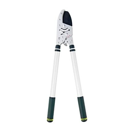 Spear & Jackson 8290KEW Kew Gardens Razorsharp Heavy Duty Telescopic Ratchet Anvil Loppers