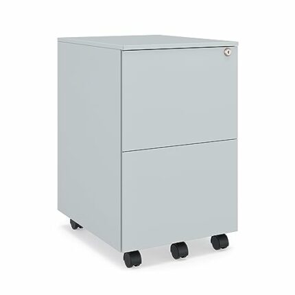 CEHA 2 Drawer Vertical File Cabinet with Lock - Commercial Filing Cabinets with 5 Wheels, Printer Stand for Home Office, 15" x 18.5" x 24.2", Ass