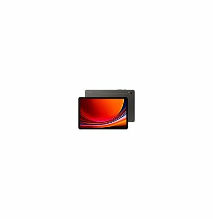 Samsung X716N Galaxy Tab S9 5G 256 GB (Grau) 11" WQXGA Display/Octa-Cora / 12GB RAM / 256GB Speicher/Android 13.0