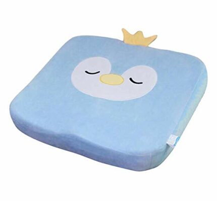 Black Temptation Student/Office Memory Cotton Cushion, Summer Breathable Soft Mat, E06