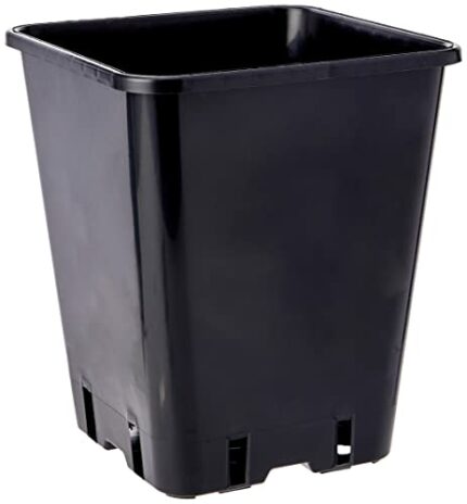 Plant it Square Pot 20cm - 5.7L - 23cm depth