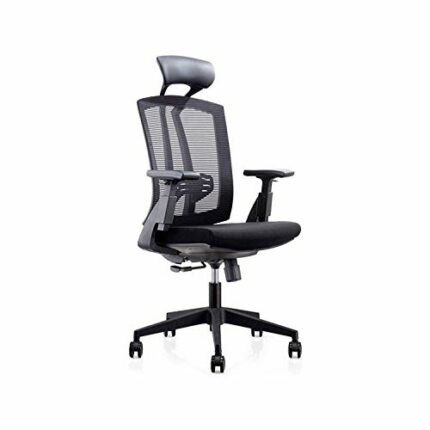 WALNUT Office Chair, Breathable Mesh Computer Chair with Ergonomic Adjustable Lumbar Support, Black Swivel Desk Chair with Adjustable Armrest and