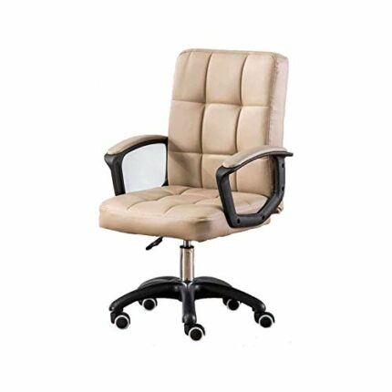 WALNUT Computer Chair Reclining Lunch Break Chair Office Home Comfortable Chair Ergonomic Fixed Armrest (Color : C)