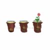 3X Dahlia Unwin Mix Bulbs Collection- Dwarf Size Blooms Great for Borders & Cut Flowers - for a Beautiful Garden