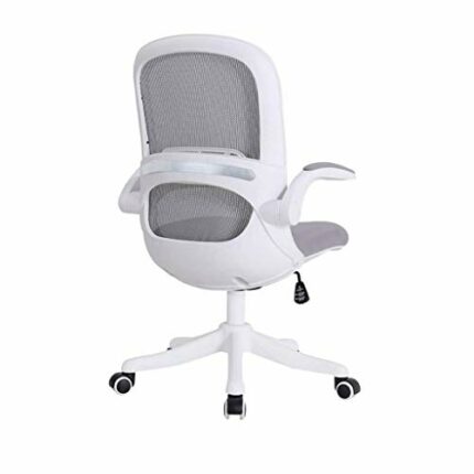 WALNUT Reclining Office Desk Chair | Adjustable High Back Ergonomic Computer Mesh Recliner | White Home Office Chairs with Footrest (Color : E)