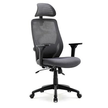HNNHOME Recline Ergonomic Office Chair with Back Support and Headrest, Tilt Function Position Lock, Home Office Computer Desk Chair with Lumbar S