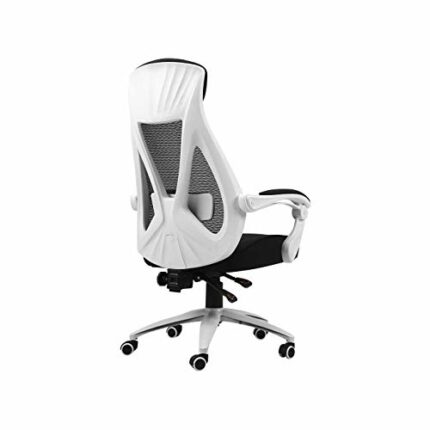 ZCMEB Ergonomic High Back Executive Mesh Chair, with Adjustable Lumbar Support, Headrest and Armrests Office Chair Computer Chair