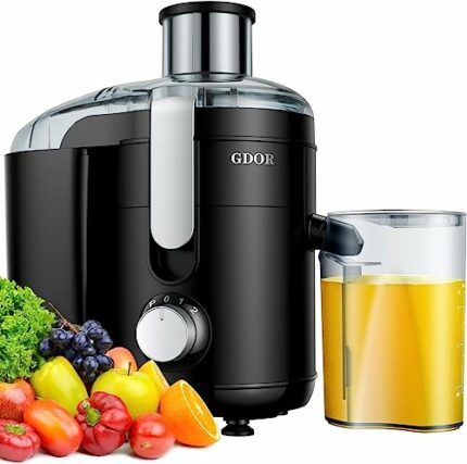 GDOR Juicer Machines, 600W Juicer with 6.5cm Feed Chute for Fruit and Vegetable, Juice Extractor with Dual Speeds, Compact Centrifugal Juicers An