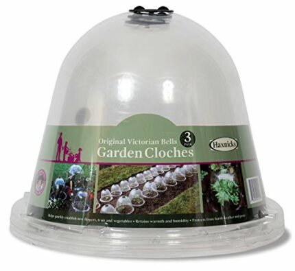 Haxnicks 3 x Medium Original Victorian Bell Garden Cloche Plant Protection | Growing Vegetable | Specimen Plants | Pack of 3| Specimen Plants | P