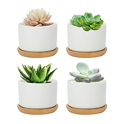 Warmplus 7.5CM Succulent Plant Pots, Simple Design Round Small Flower Pot, White Ceramic Cactus Pots with Bamboo Tray and Drainage Hole, Great fo