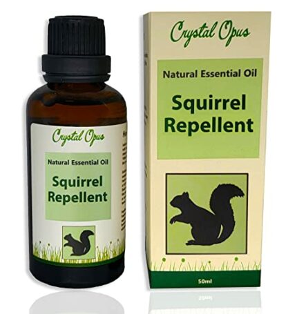 Makes 20+ litres of Squirrel Repellent Spray. Tried & Tested Concentrated Blend. Natural Peppermint, Cinnamon, Chilli and Garlic Essential Oil. U