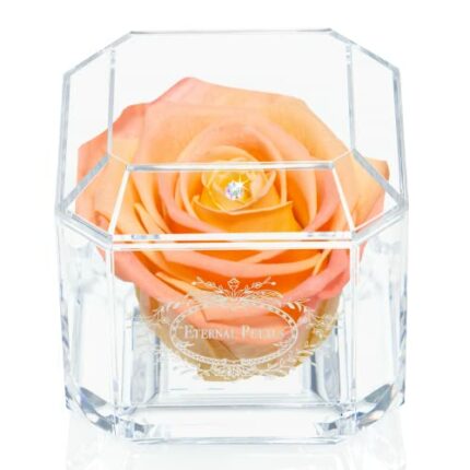 A 100% Real Rose That Lasts Years - Eternal Petals, Handmade in UK – White Gold Solo with A Multicolor Swarovski Crystal (Double Peach)