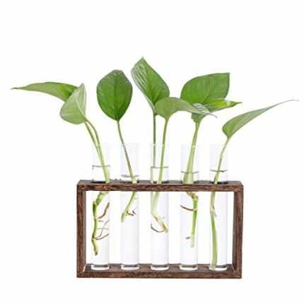 Hyindoor Desktop Glass Planter Propagation Station Wall Mounted Hanging Test Tube Vase with Wooden Stand Rack Terrarium Planter for Hydroponic Pl
