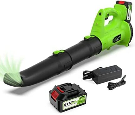 Huepar Cordless Leaf Blower-6 Speed Electric Leaf Blower with 20V 4.0Ah Li-ion Battery and Fast Charger, 321CFM 135MPH Lightweight Leaf Blower fo