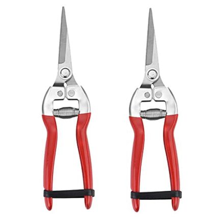 2 Pcs Sturdy Pruning Shear Garden Scissors Gardening Snips Professional Micro-Tip Pruning Tool for Arranging Flowers, Trimming