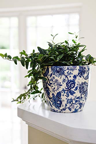 Ivyline Monza Vintage Blue Planter 17.5cm,one size,cream/pink/blue