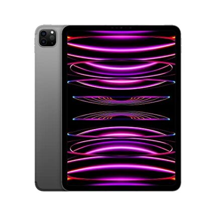 Apple 2022 11" iPad Pro (Wi-Fi + Cellular, 512GB) - Space Grau (4. Generation)