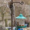 2 Pack Hanging Basket Bracket, Wall Hanging Plant Basket Holder Hanger Hooks Brackets for Garden Light Flower Pots Bird Feeders Plants Lanterns W