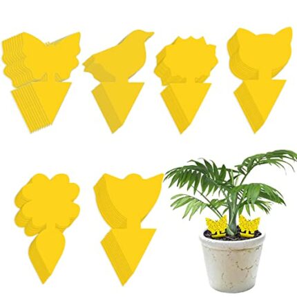Fruit Fly Traps, Singwow 60 Pack Fungus Gnat killer for Indoor Plants Yellow Sticky Fly Paper Double-sided Insect Catcher, Ideal for Plants on th