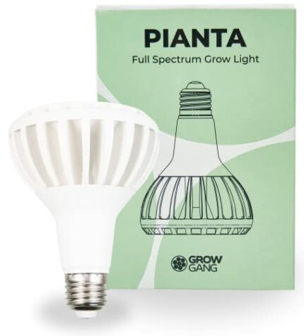 Pianta 18W Full Spectrum LED Grow Light for Indoor Plants – Plant Grow Bulb, Indoor Grow Light for Growing Succulents Herbs & Cactus, Germination