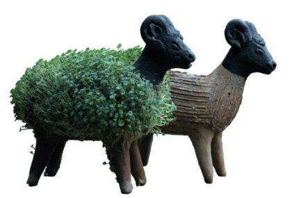 Tumia LAC Grow your own sheep cress figure