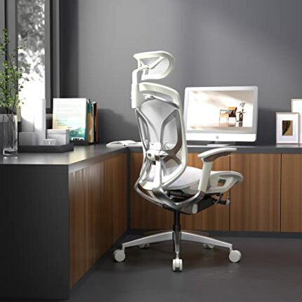ERGOUP Ergonomic Office Chair Computer Desk Chiar Mesh High Back Desk Chair, Mesh Computer Chair with Adjustable Lumbar Support, Rocking Executiv