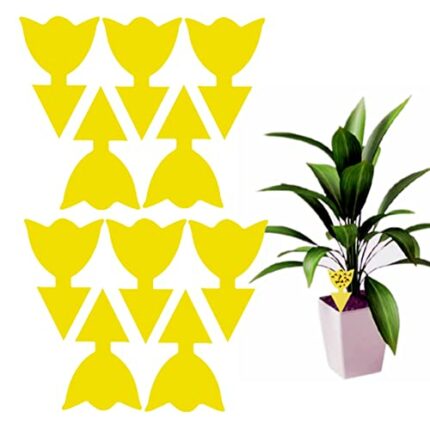 10 Pack Fruit Fly Traps Yellow Fungus Gnat Killer, Double-sided Sticky Fruit Fly Killer Fly Paper Bug Insect Catcher Fly Trap Fly Insect Control