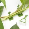 120pcs Self-Adhesive Hook Plant Vine Traction, Plant Climbing Wall Fixture Clips,Climbing Plant Support Clips Vine Plant Climbing Wall Fixer for
