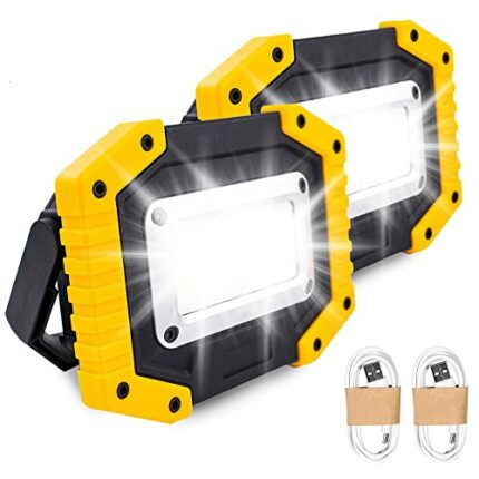 Trongle LED Rechargeable Work Lights, 30W Floodlight Battery Security Light with 3 Modes Outdoor COB Camping Lights with USB Waterproof for Garag