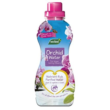 Westland Orchid Water Ready To Use Orchid Plant Feed, 720 ml
