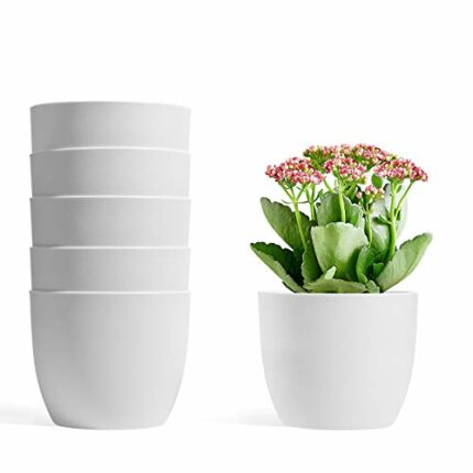 T4U 12CM Self Watering Planters Plastic White Set of 6, Modern Round Flower Pot Indoor Nursery Bonsai Plant Pot for Garden House Plants, Aloe, He