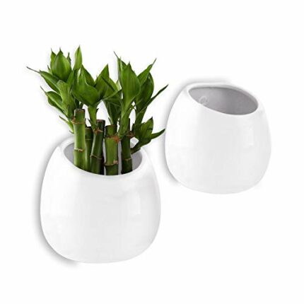 T4U 10CM Wall Mounted Ceramic Plant Pots, Pack of 2 Small Wall Planter for Succulent Flower Hanging Planter White Home and Office Desktop Decorat