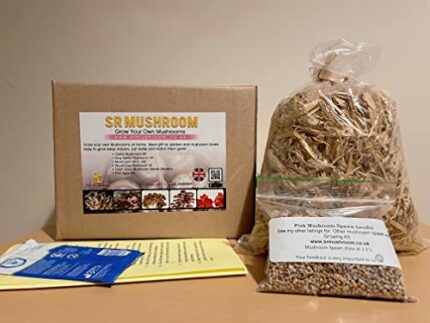 Mushroom Growing Kit Oyster (White Oyster)