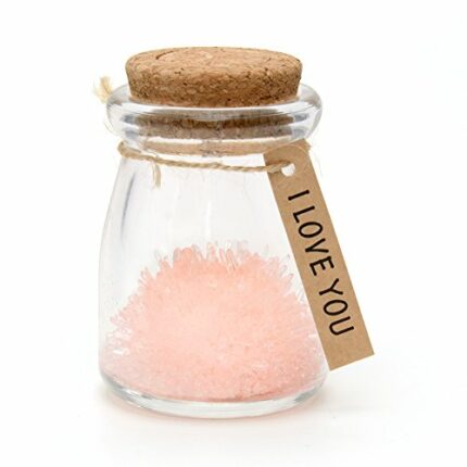 I Love You, Pink LED Magic Grow Your Own Crystal Garden Wish Flower Jar Growing Kit