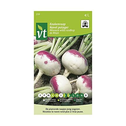 Turnip De Milan Organic Seeds - Turnips for The Garden - 4 g - Seeds: 500