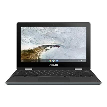 ASUS SBG COMMERCIAL 11.6 Hd Intel Celeron N4020