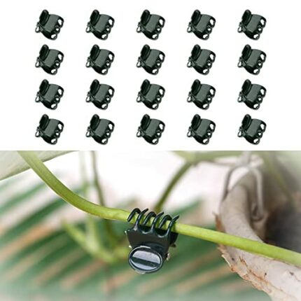 Aidi Orchid Clips, 20 Pcs Plant Clips Climbing Plants, Support Wall Garden Stem Supports Flower Vines, Black (AD-CX-ZWZCJ01-BK20)