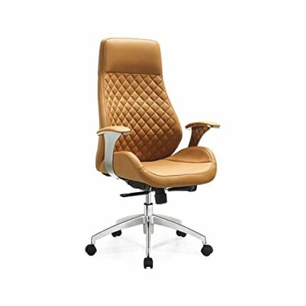 TWDYC Health and Wellness Executive Office Chair High Back Ergonomic for Lumbar Support Task Swivel, Bonded Leather