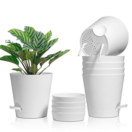 T4U Self Watering Plant Pots 16.5CM White Set of 6, Plastic Indoor Planter with Drainage Hole & Saucer, Decorative Modern Flower Planter Pot for