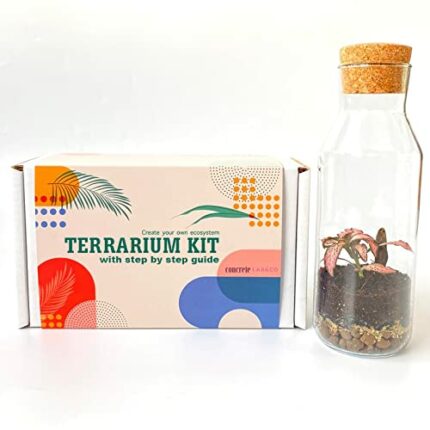 Terrarium Kit with Glass Container & Cork Lid, Mini Garden, Gift Idea, DIY Kit (Kit Only)