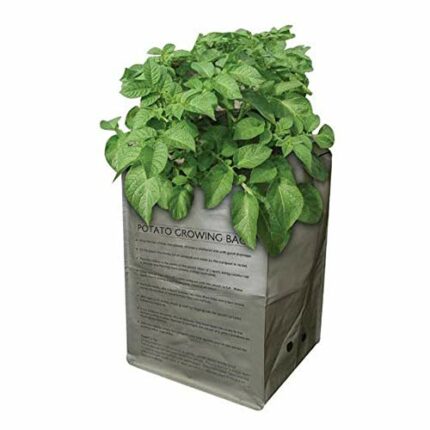 Taylors Bulbs Outdoor Potato Growing Bag