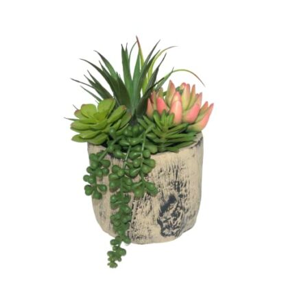 Hisow Succulents Plants Artificial, Faux Succulent Plants in Elegant Ceramic Pot Assorted Faux Potted Succulent Plant for Home Living Rooms Bedro