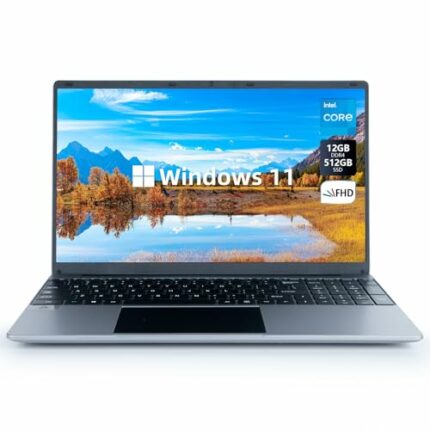 ANMESC 15.6'' Laptop 16GB DDR4 512GB SSD, Intel Celeron N5095 Quad-Core Processor Windows 11 up to 2.9Ghz, 1080P Screen Laptop Computer with Long