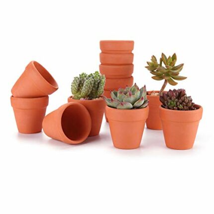T4U 6.5CM Terracotta Pots Pack of 12 - Small Craft Nursery Succulent Pot Water Permeable Cactus Plant Pottery Planter DIY Home Office Desktop Win