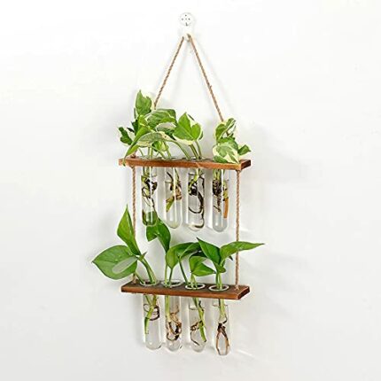 BUDDE Wall Hanging Planter, 2 Tiered Plant Propagation Stations Plant Terrarium with Wooden Stand, Glass Planter Test Tube Vase for Propagating H