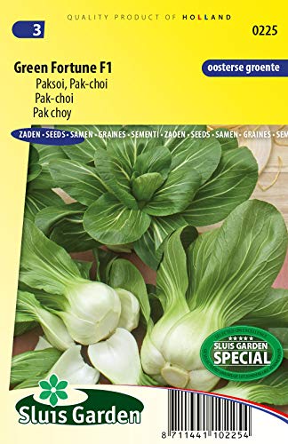 Pak Choy Green Fortune F1 Vegetable Seeds per Gram - an Open Cabbage with Bare, White Flower stalks, White Leaf Veins and Dark Green top Leaves -