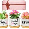 Wife Birthday Gifts, Valentines Gifts for Wife Her from Husband, Best Wife Succulent Pots, Unique Presents for Wife on Anniversary Wedding Christ