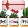 Wife Birthday Gifts, Valentines Gifts for Wife Her from Husband, Best Wife Succulent Pots, Unique Presents for Wife on Anniversary Wedding Christ